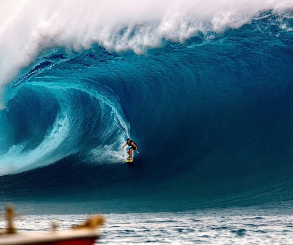 What's On in Fiji | Festivals & Events | The Official Travel Site of